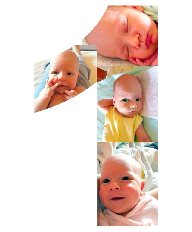 bb96916aa18473a8ec9f8a6838330bf5.jpg