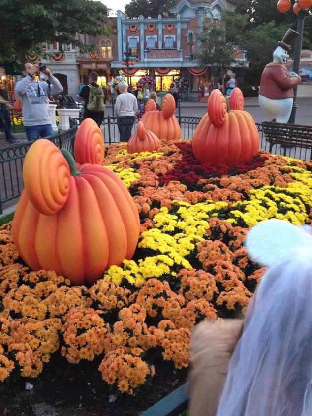 Disneyland, октябрь.