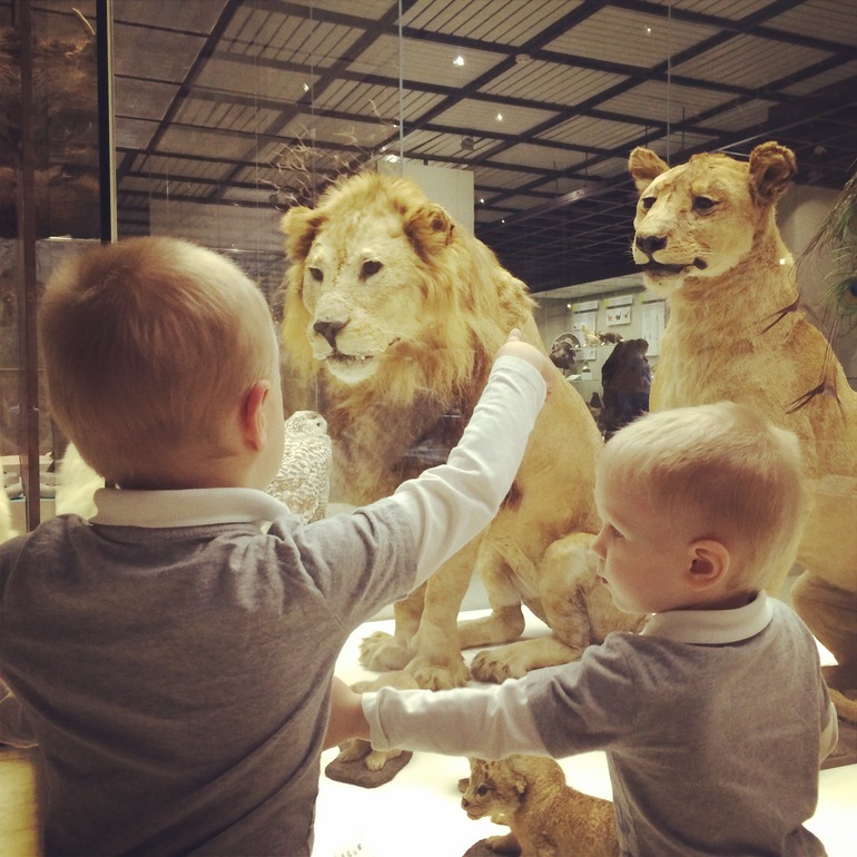 Поход в музей Дарвина