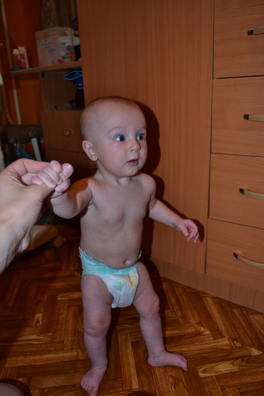 Алесте 5 мес. Отчёт.