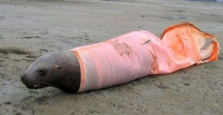 Почему многоразовые подгузники?