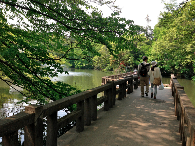 Inokashira Park...