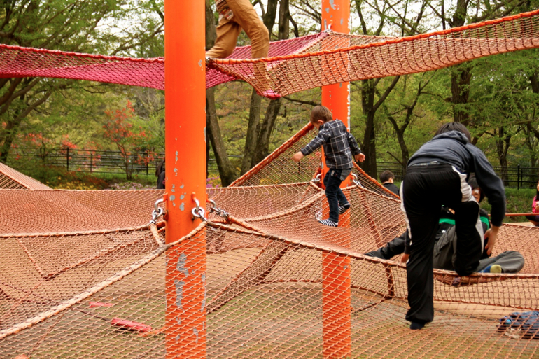 d89058be3b3741d17d056694e4b03934.jpg