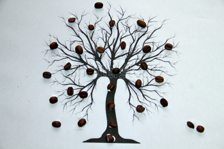 Южная Америка...