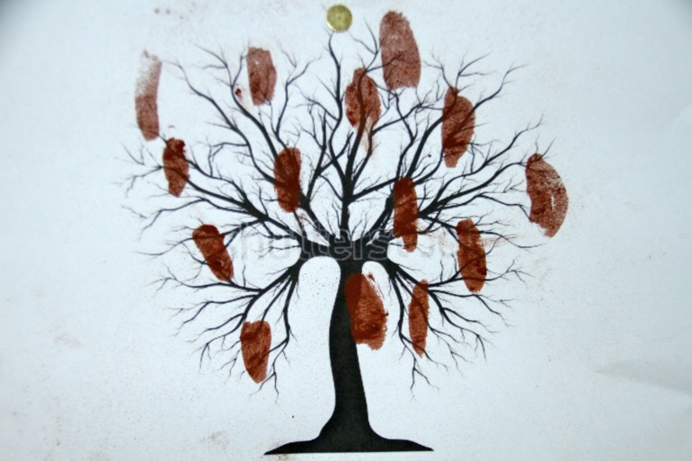 Южная Америка...