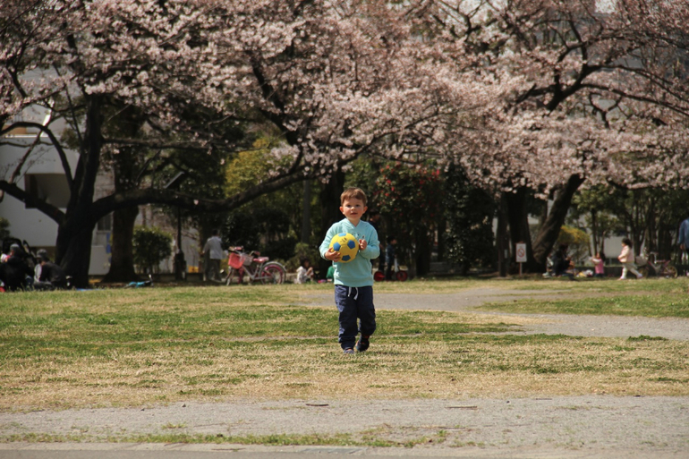 c1b9abe726e8173fa7aefa04f5f64811.jpg