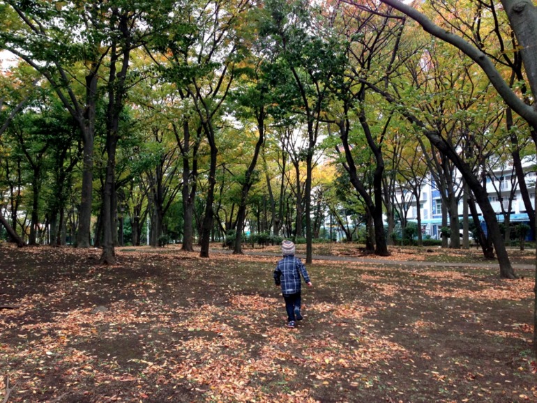 Осенняя прогулка...