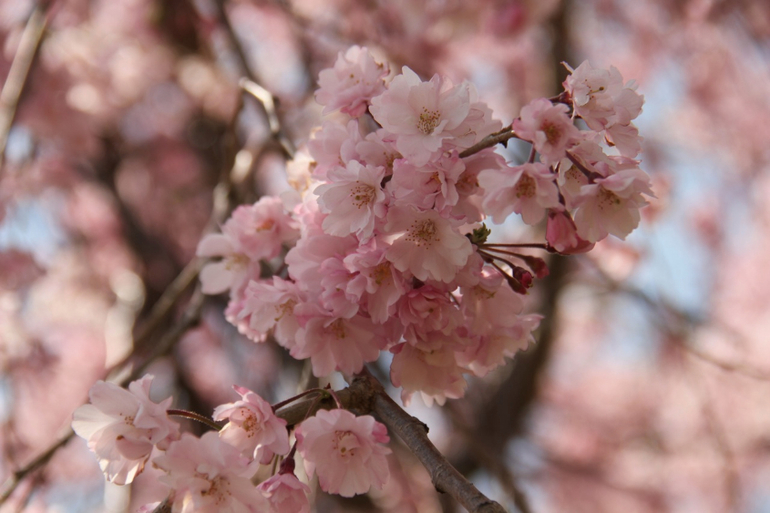 feb3e3b1744d6ed33d77d9a8b7eac9bd.jpg