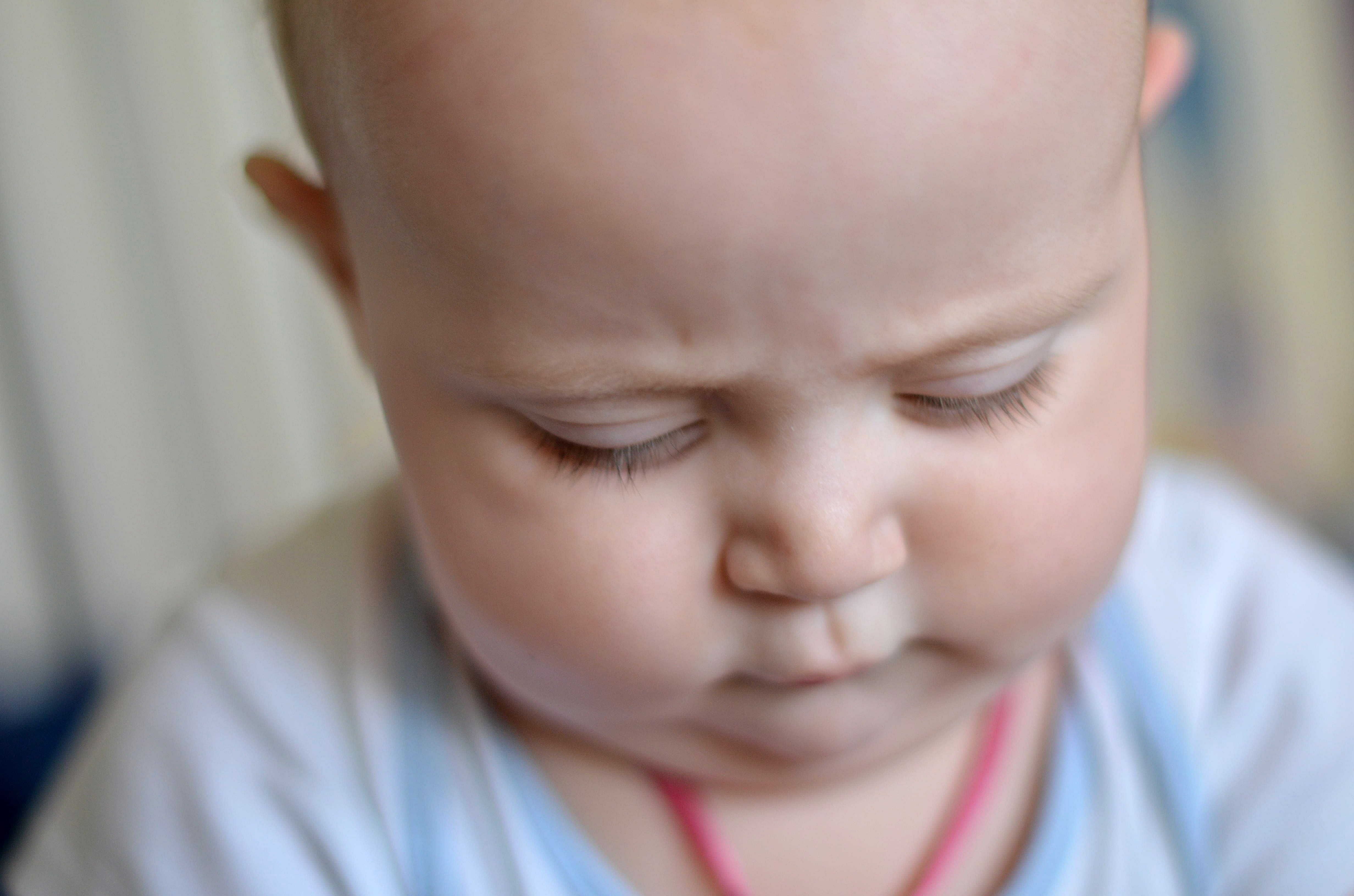 Гастрономическая революция Елисея!