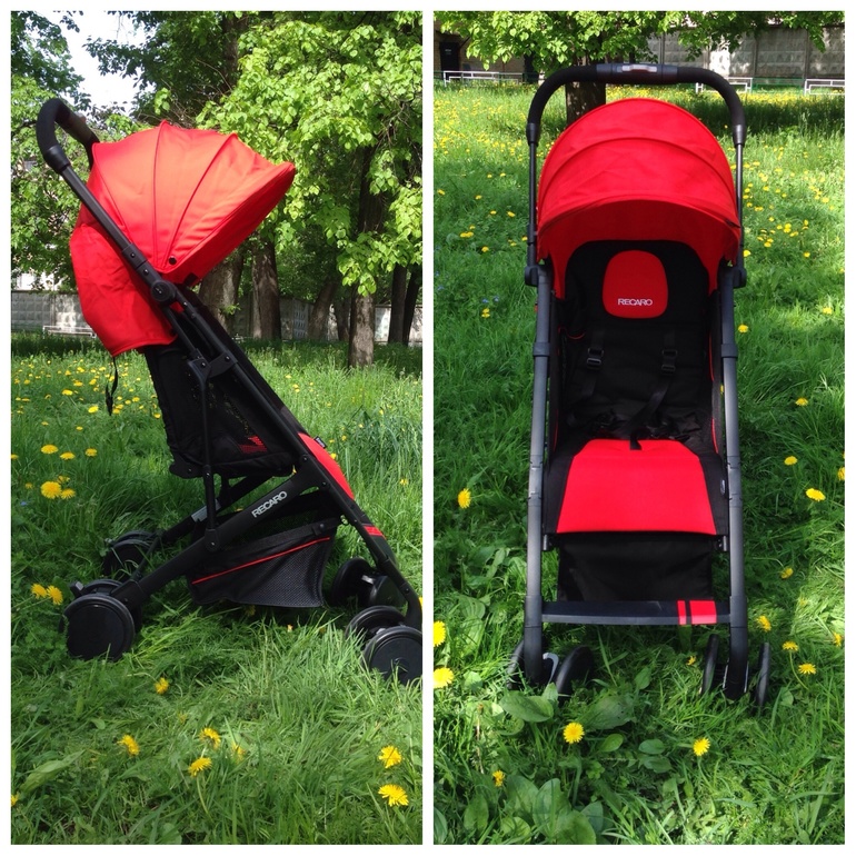 Аленький цветочек RECARO Easylife