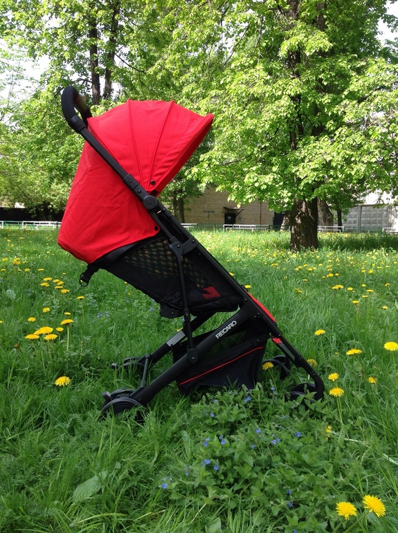 Аленький цветочек RECARO Easylife