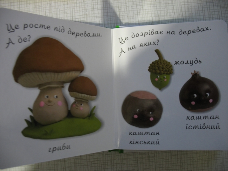 наши первые книжечки