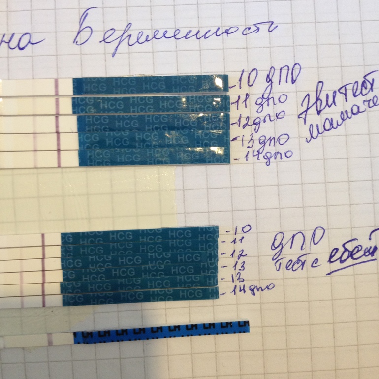 никакой динамики в конце...это конец...