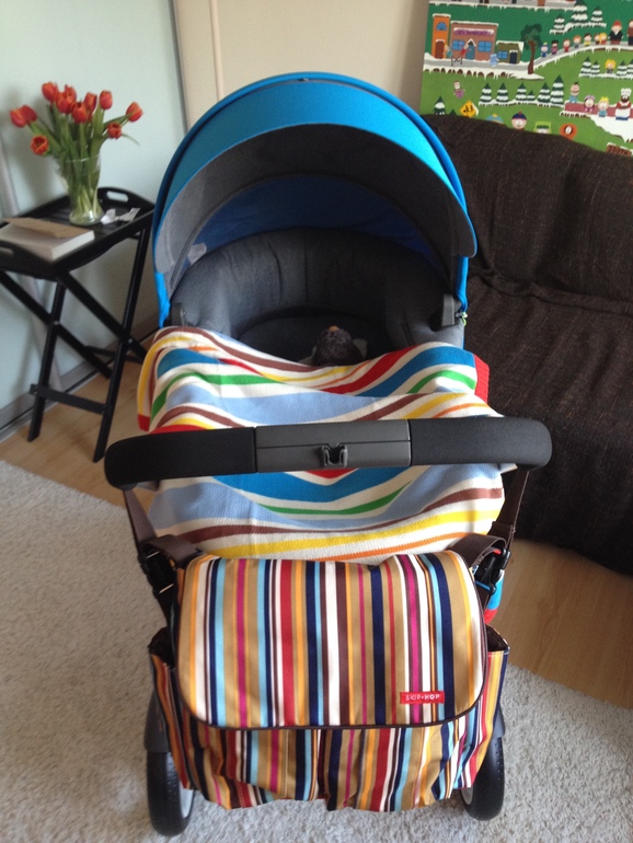Моя красотка Stokke Crusi urban blue :)