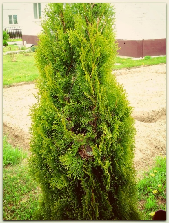 Дыхание природы... :) или наши радости за городом!