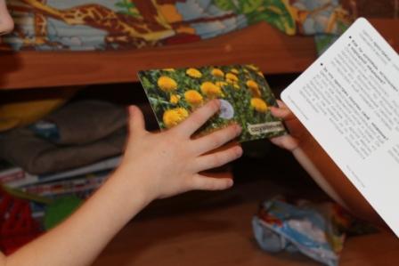 Мир на ладошке. Карточки