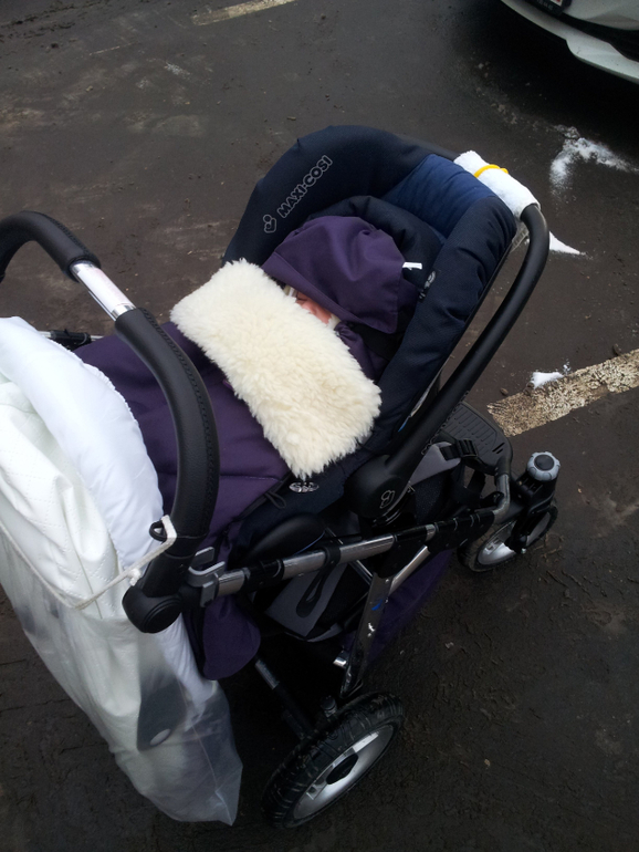 Отзыв о новой на рынке коляске Noordline Edel Viva в цвете Blurberry