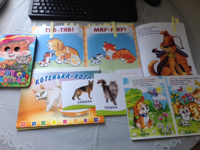 Тематические занятия - животные. Занятие первое - кошка и собака.