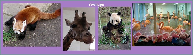 Маршрут и достопримечательности_Вена