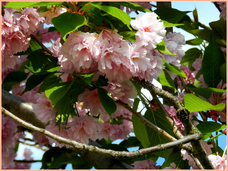 Прогулка по городу. Гляссе.