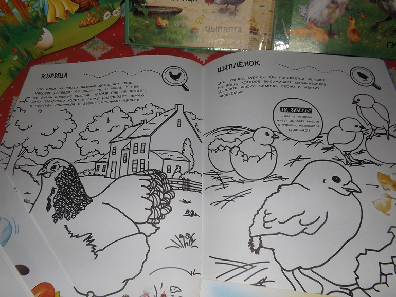 ТН "Лукошко сказок" 1 день