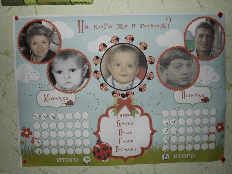 ГодоВасие на васильковой полянке в компании с божьими коровками