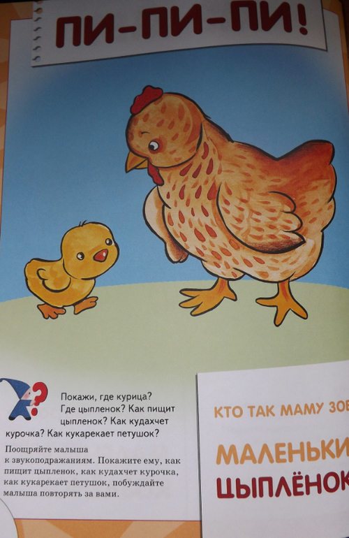 наш отчет ТЗ