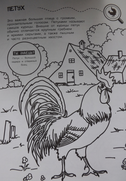 наш отчет ТЗ