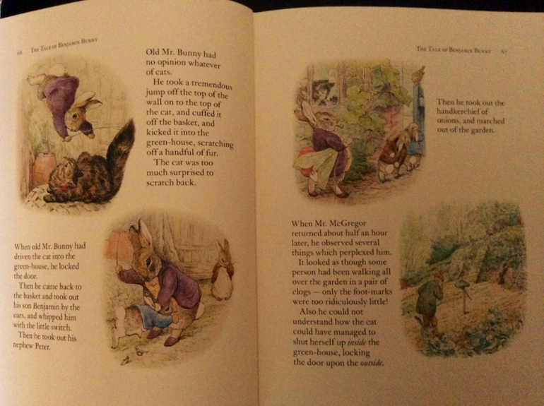 Карты и зайцы