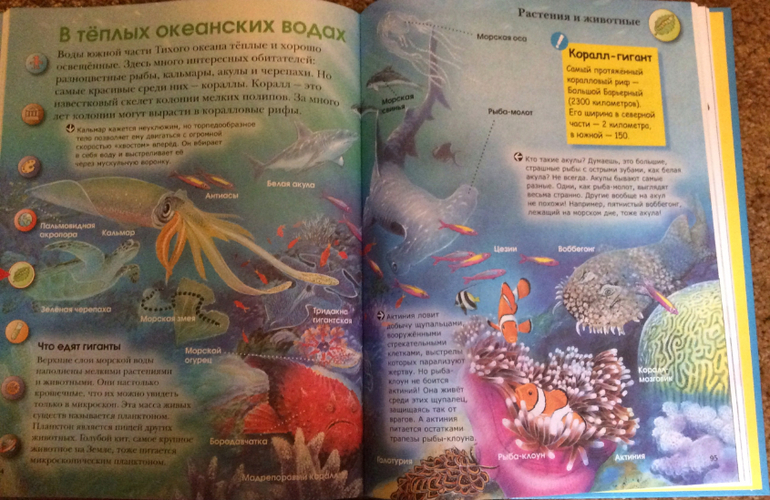 Первые энциклопедии