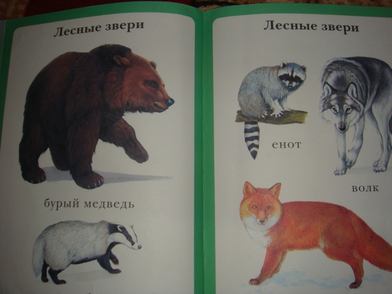 Моя первая книга.