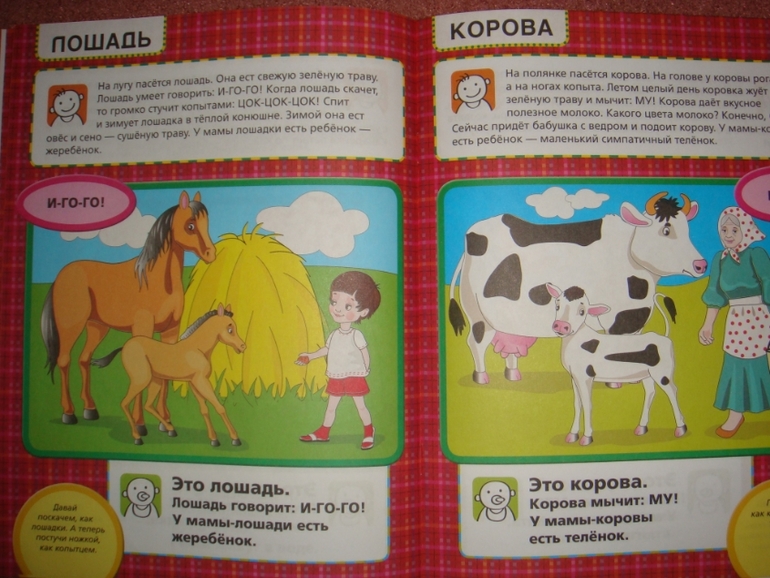 Развитие речи. Продолжение.