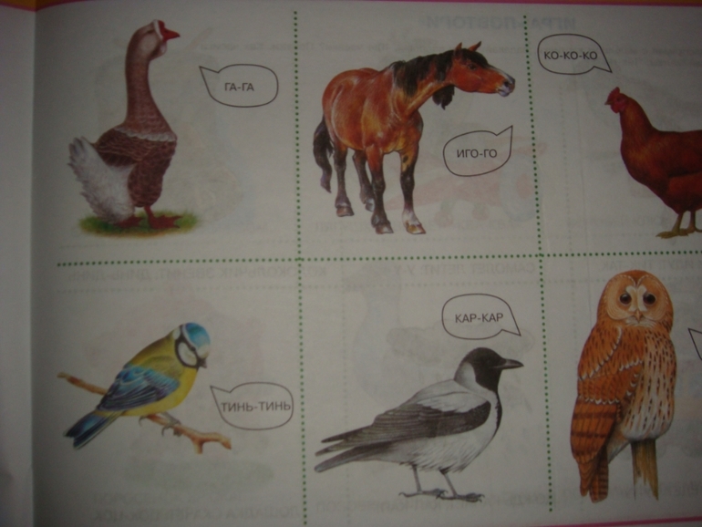 Альбом по развитию речи!