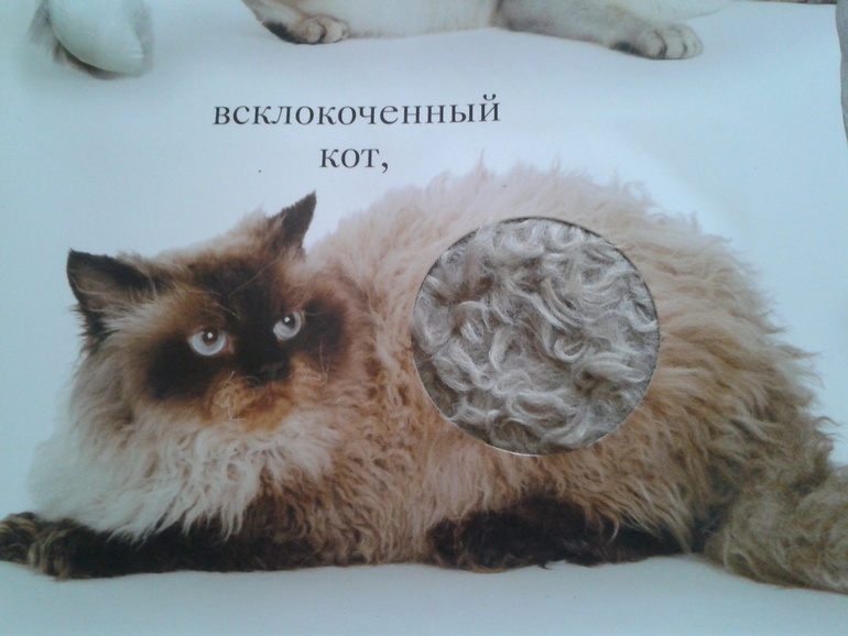 Книга с рычажками и тактильными вставками. МЯУ!