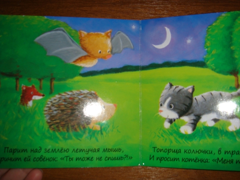 Книги для сладких снов.