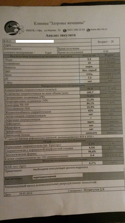 Тератозооспермия схема лечения