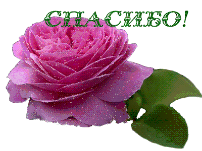 7f24c94fa7a4adbb85588375123f8ebb.gif