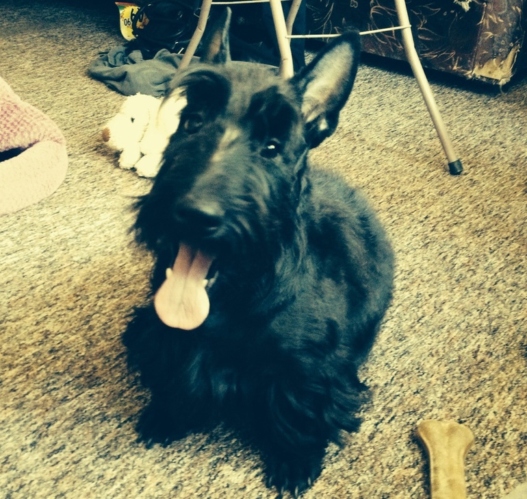 А мы под стриглись :)