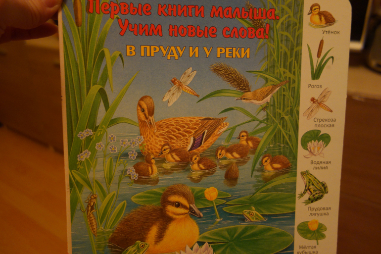Отчет о ТЗ