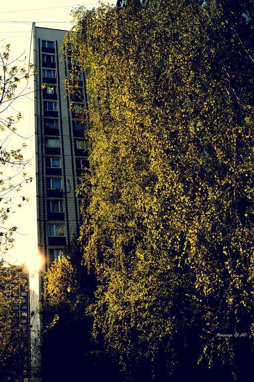 Погуляла... поймала за хвост весну.