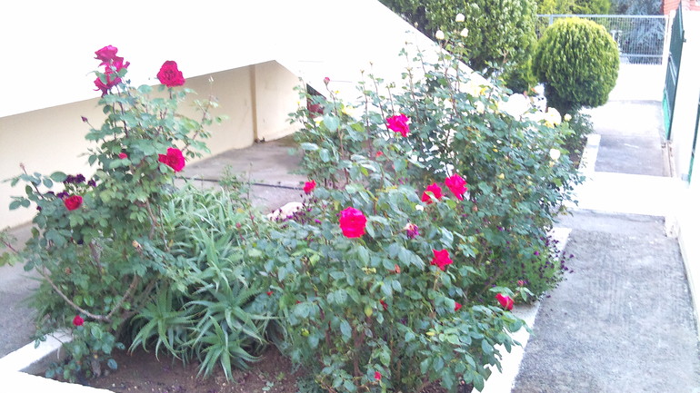 ОТДЫХ В РАЙСКОМ УГОЛКЕ ГРЕЦИИ