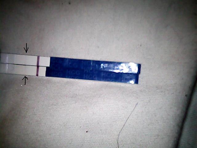 девчат может ли ХГч ошибатся