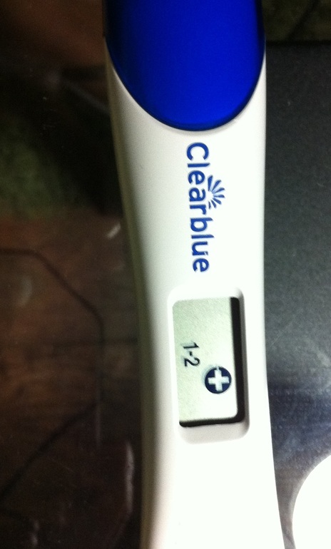 Одна жизнь на двоих