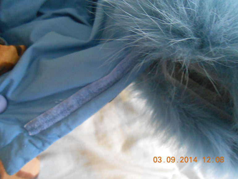 523e2580c7cdd142e4733fd398289fda.jpg