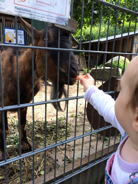 Отчет по тематической недельке