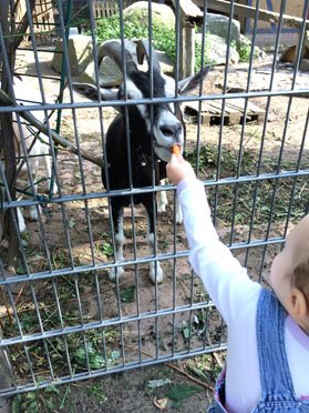 Отчет по тематической недельке