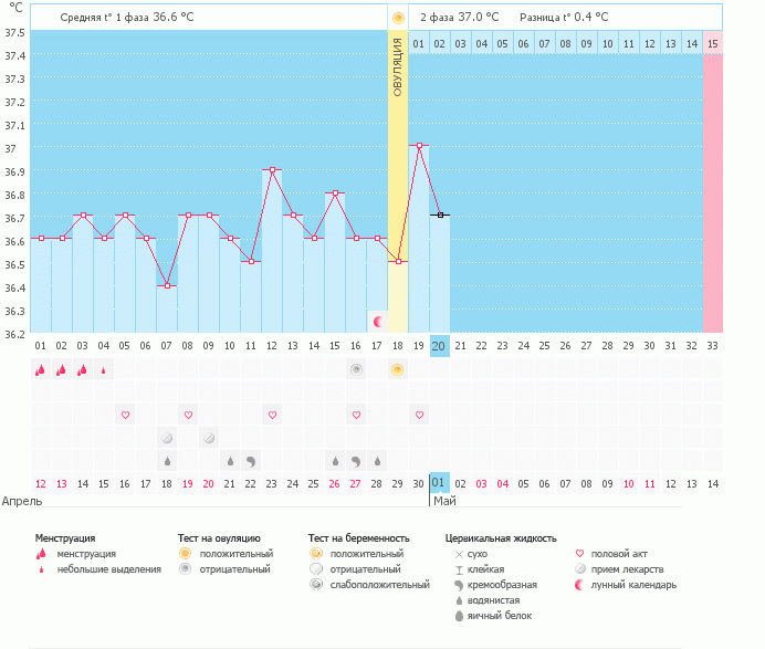 Неужели я опять оплошалась?