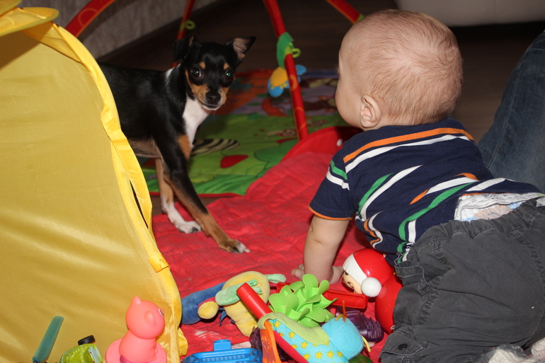 первая встреча