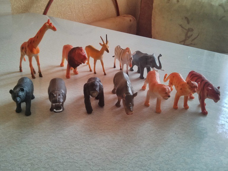 Наши игры с животными)