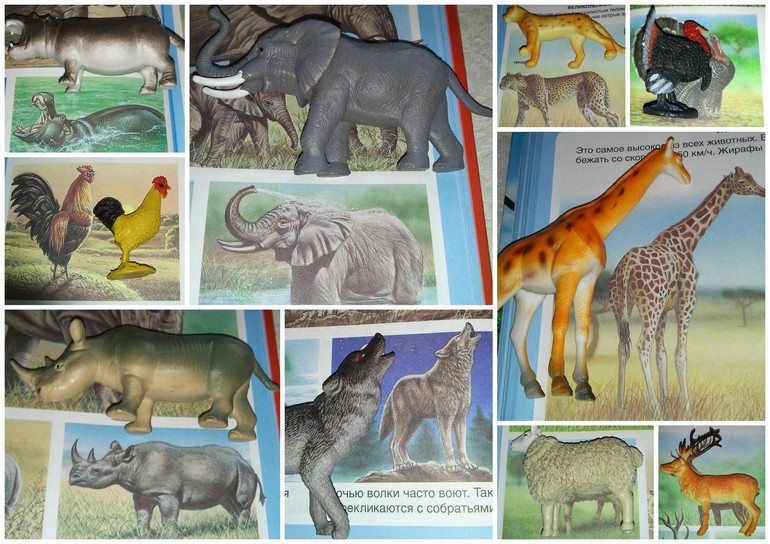 Наши игры с животными)